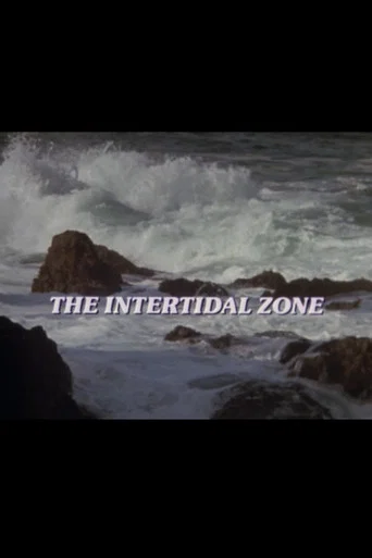 Movie poster for The Intertidal Zone (1985)