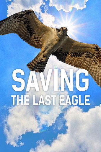 Movie poster for Saving The Last Eagle