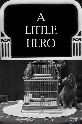 Movie poster for A Little Hero (1913)
