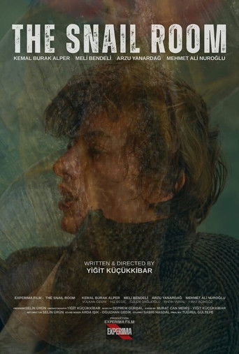 The Snail Room poster