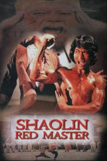 Movie poster for Shaolin Tough Kid (1978)