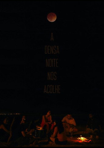 Movie poster for A densa noite que nos acolhe