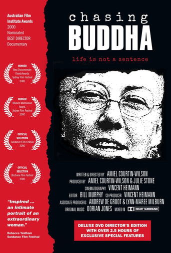 Chasing Buddha poster