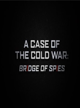A Case of the Cold War: Bridge of Spies poster