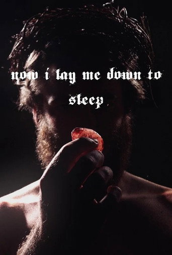 Movie poster for Now I Lay Me DownTo Sleep
