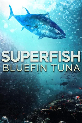 Movie poster for Superfish: Bluefin Tuna (2012)