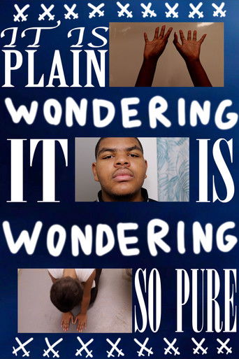 Wondering poster
