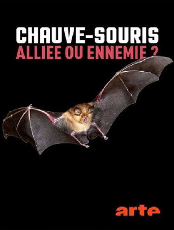 Movie poster for Chauve-souris: alliée ou ennemie? (2021)