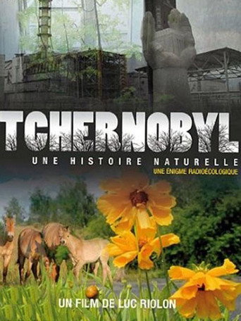 Movie poster for Chernobyl: A Natural History (2010)