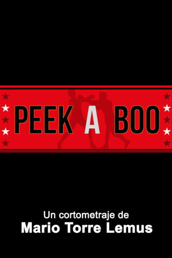 Movie poster for Peek-A-Boo (2014)