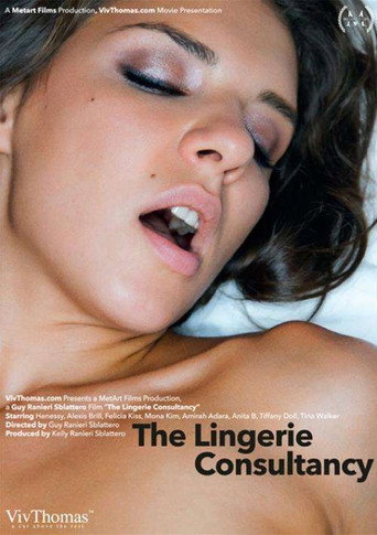 Movie poster for The Lingerie Consultancy (2015)