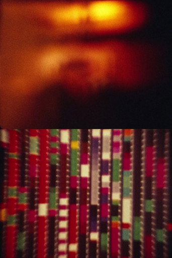 Movie poster for Sharits/Kassel 2015 (2020)