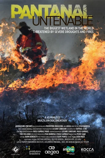 Movie poster for Untenable Pantanal (2024)
