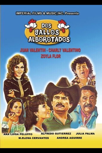Dos gallos alborotados poster