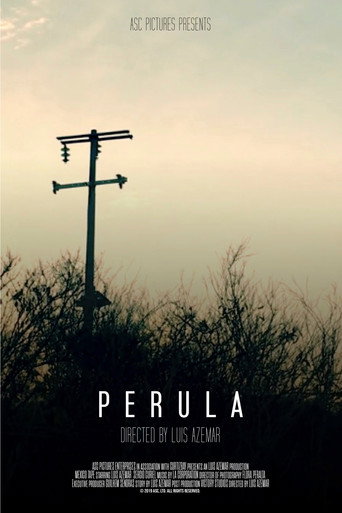 Movie poster for Perula