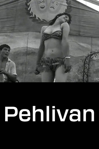Pehlivan poster