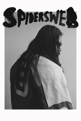 Movie poster for Spiders Web (2024)
