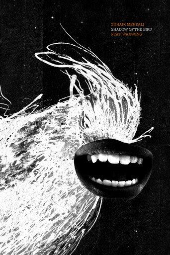 Shadow of the Bird poster