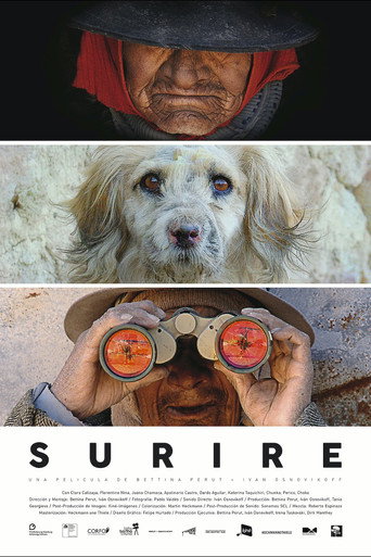 Movie poster for Surire (2015)
