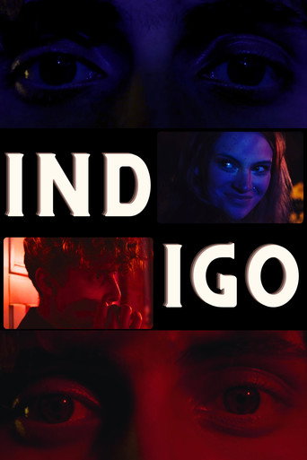 Movie poster for Indigo