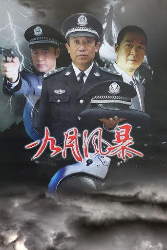中国刑警之九月风暴 poster