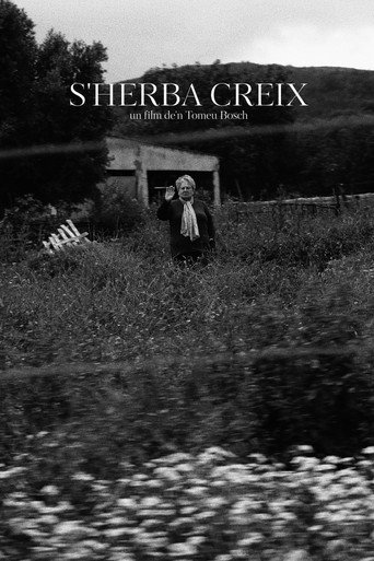 Movie poster for The Grass Grows (2025)