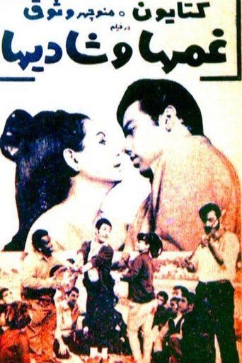 Movie poster for Sorrows and Joys (1968)