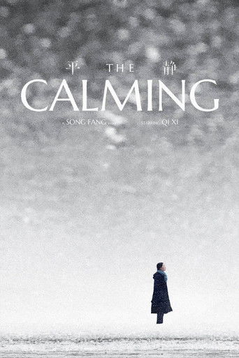 The Calming poster