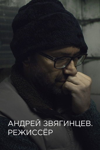 Andrey Zvyagintsev. The Director poster