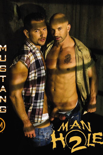 Movie poster for Manhole 2 (2009)