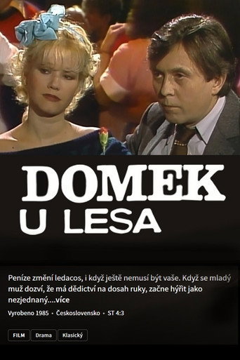 Domek u lesa poster