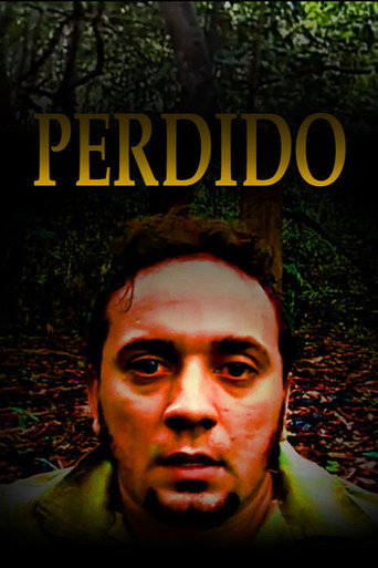 Movie poster for Perdido (2010)