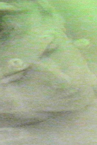 finally destroy us poster