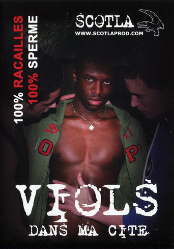 Movie poster for Viols dans ma cité (2014)