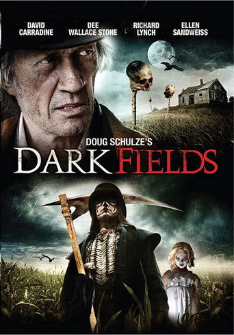 Dark Fields poster