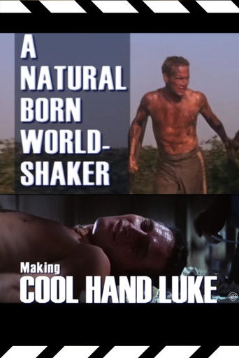 A Natural Born World-Shaker: The Making of 'Cool Hand Luke' poster