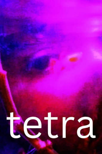 Movie poster for tetra