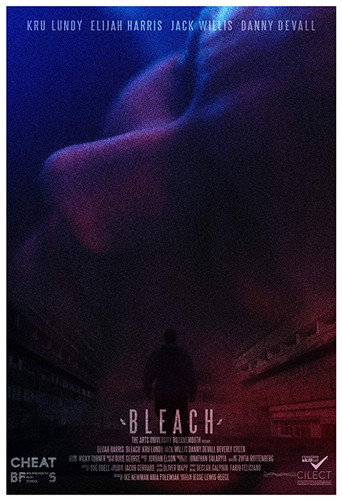 Movie poster for Bleach (2016)