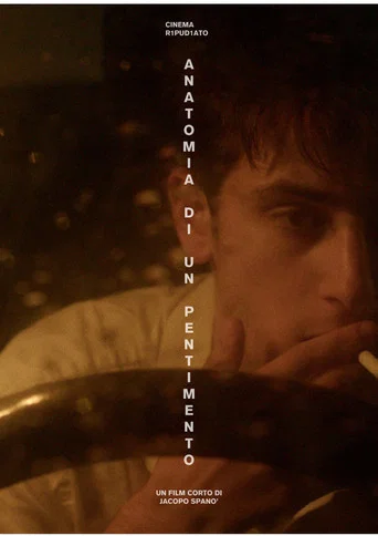 Movie poster for Anatomia di un pentimento