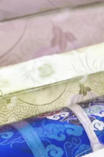 Movie poster for Oriental Silk (2015)