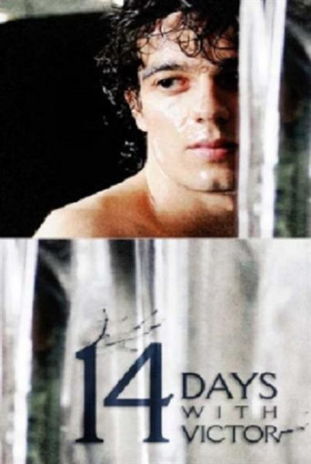 14 Days with Victor poster