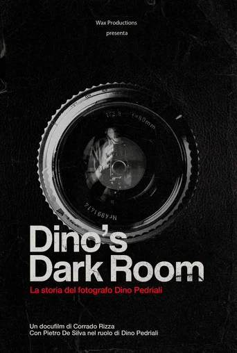 Movie poster for Dino's dark room