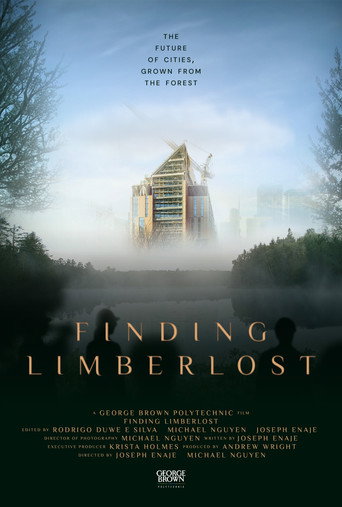 Movie poster for Finding Limberlost