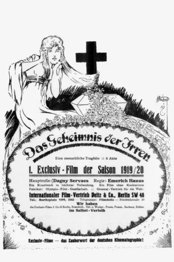 Movie poster for Das Geheimnis der Irren (1919)