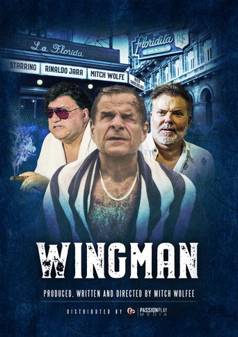 Movie poster for WingMan (2020)