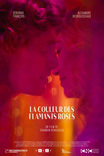 La couleur des flamants roses poster