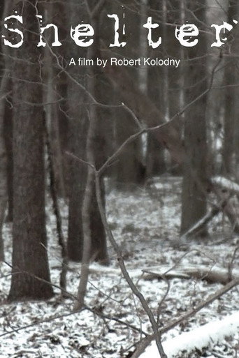 Movie poster for Shelter (2010)