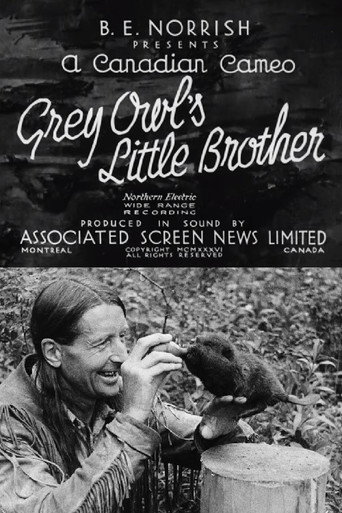 Movie poster for Grey Owl's Little Brother (1932)