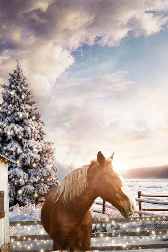Movie poster for December Horses (2023)