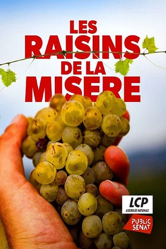 Movie poster for Les raisins de la misère (2021)